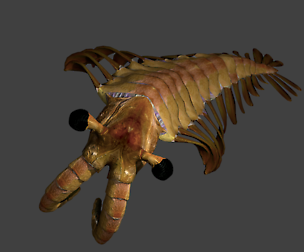 Anomalocaris