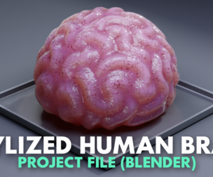 Stylized Human Brain - Project File Blender