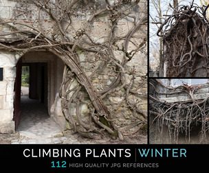 Climbing Plants Winter
