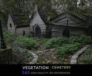 Vegetation Cemetery