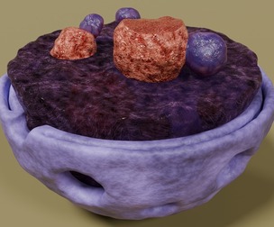 Nucleus structure schematic 3d model