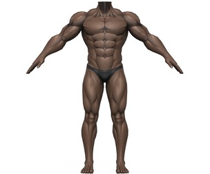 Muscular Body Base Mesh