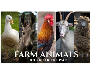 Farm Animals - Reference Photo Pack For Artists 522 JPEGs noAI