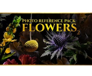 A Flowers vol.2 - Reference Photo Pack For Artists 1035 JPEGs noAI