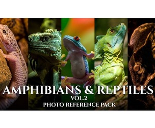 Amphibians & Reptiles vol.2- Referecne Photo Pack For Artists 432 JPEGs noAI