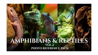 Amphibians & Reptiles vol.2- Referecne Photo Pack For Artists 432 JPEGs noAI cover