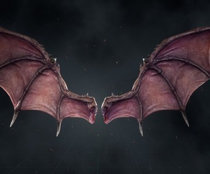 Demon Wings