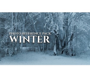Winter - Reference Photo Pack For Artists 511 JPEGs noAI