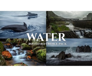 Water - Reference Photo Pack For Artists 437 JPEGs noAI
