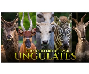 Ungulates - Reference Photo Pack For Artists 417 JPEGs noAI