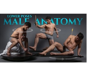 Male Anatomy (Lower Turnaround Poses) - Reference Photo Pack 545 JPEGs noAI