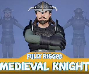 Medieval Knight