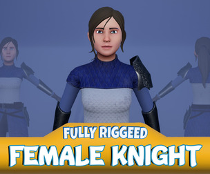 Medieval Knight