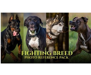Fighting Breed - Reference Photo Pack For Artists 296 JPEGs noAI