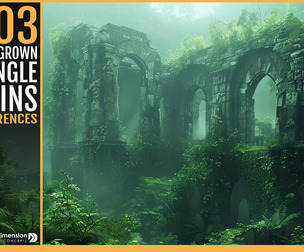 303 Overgrown Jungle Ruins