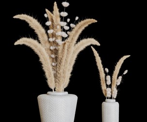 pampas03