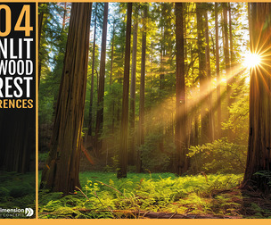 404 Sunlit Redwood Forest