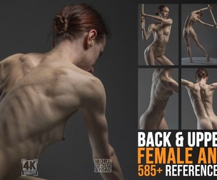 585 Back and Upper Body - Female Anatomy