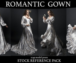 Romantic Silk Gown - Stock Model Reference Pack