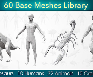 Library of 60 Base Meshes