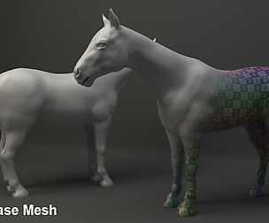Horse Base Mesh