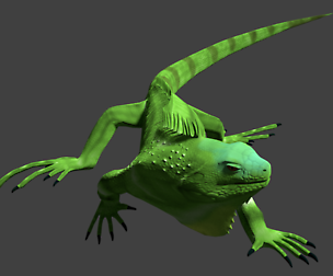Iguana