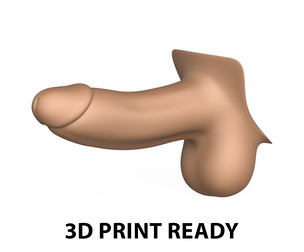 3D Print Ready Penis
