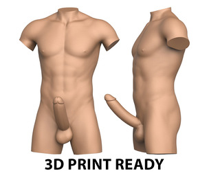 3D Print Ready Male Torso with Penis
