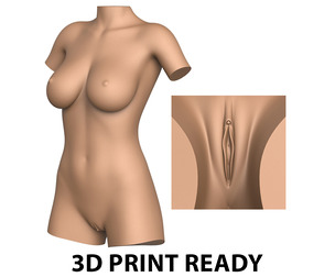 3D Print Ready Woman Torso with Vagina