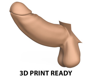 3D Print Ready Long Thick Penis