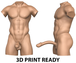 3D Print Ready Fantasy Man Penis with Torso