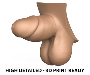High Detailed 3D Print Ready Small Penis