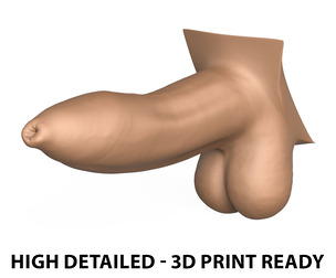 High Detailed 3D Print Ready Uncircumcised Penis