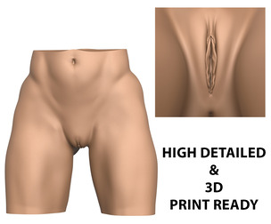 High Detailed 3D Print Ready Woman Vagina
