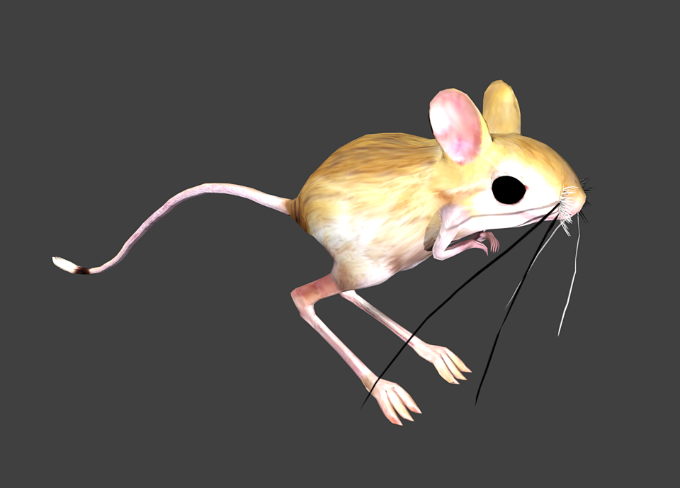 big_dac40967e9.png
