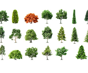 Collection of 20 Species Green Trees Isolated, Vertor EPS file