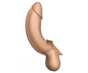 3D Print Ready Full Erect Penis