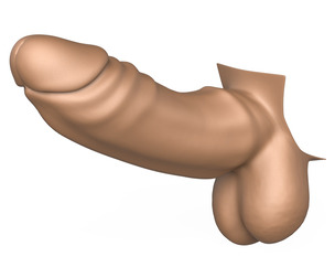 3D Print Ready Big Monster Penis