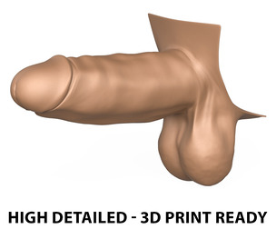 High Detailed 3D Print Ready Male Penis