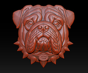 Bull dog portrait relief
