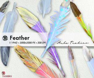 Mixed Pastel Golden Feather Set PNG clipart 300 DPI Printable Instant Download