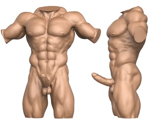 3D Print Ready Muscular Man Torso with Penis