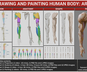 Drawing and Painting human body: Arm