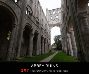 Abbey Ruins