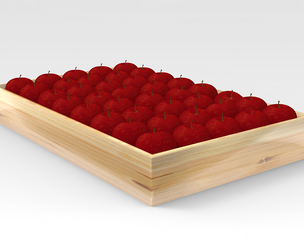 Apple Tray