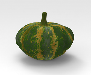 Pumpkin