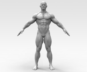 Bodybuilder Pose Anatomy