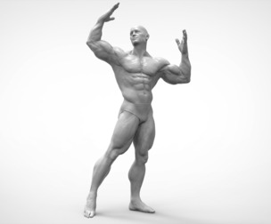 Bodybuilder Pose Anatomy