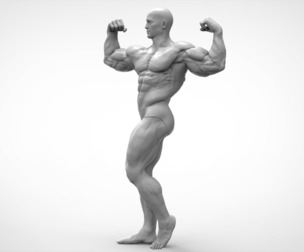 Bodybuilder Pose Anatomy