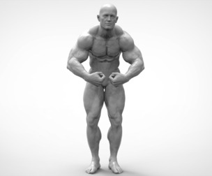 Bodybuilder Pose Anatomy